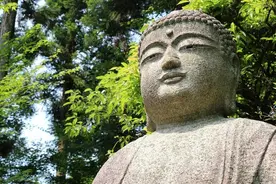 一日禅:佛说八苦图片
