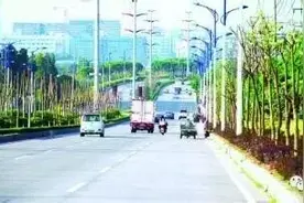 石狮这条路要改造啦！白改黑，拓宽，拆迁，景观图片