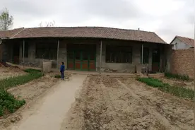 济南后花园—我的“地主”般“自产”式惬意生活图片