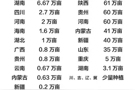 辣妹子辣，辣妹子吃辣椒不怕辣！到底哪个省份的妹子最辣？图片