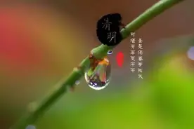 添设备 | 清明踏青，盘点便宜又好用的车载神器图片