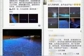惠州双月湾海边惊现“蓝眼泪”奇景！图片