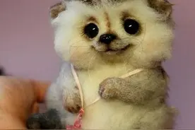 如何才能拥有一个可以让心融化的萌宠图片