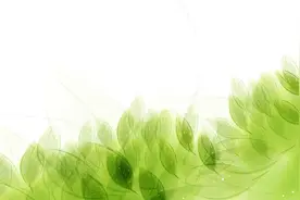 学会常用英语交际用语，玩转英语!图片