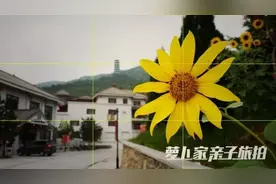 手机里的春天。跟萝卜爸爸学手机拍片图片