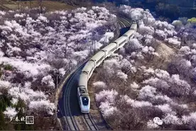 看被花海拥抱的火车前行，那就一个字：美！图片