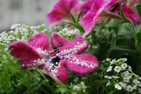 毛毡手工花？没玩过？这个技能可以有|舍衣二次设计图片