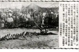 龙的未解之谜，你所不知道的事。图片