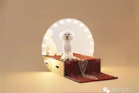 给狗狗做个窝  日本大师设计图纸首次公开图片