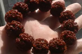 关于金刚菩提上不上油的个人建议图片