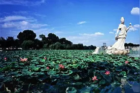 辽宁12市地区方言集锦，东北人的气派图片