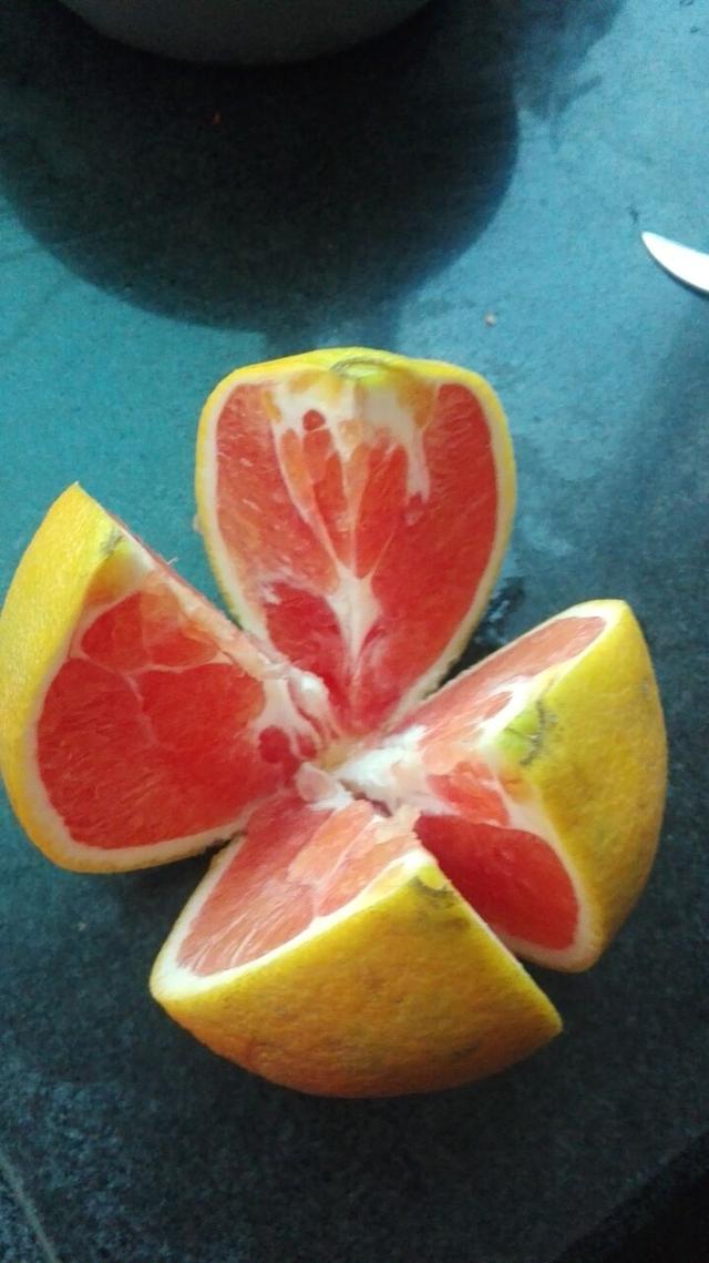 是橙子的品种,个头也比西柚小一些,它的味道香甜可口,常常是无核的