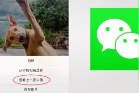 微信也可以查看历史头像了？快看看你的上一个头像是什么视频封面