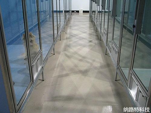 瓷砖知识大百科之8款常见瓷砖的优缺点及适用范围