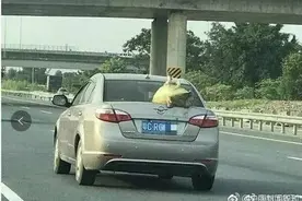 “涡轮增鸭”上高速，交警：最高可罚200元图片