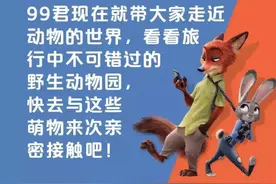 来这里看动物圈的新进“网红”，旅行中不可错过的Zoo!图片