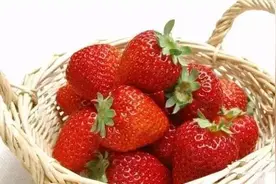 「发现」焦作草莓采摘最全攻略！不管去不去，先收藏好了！图片