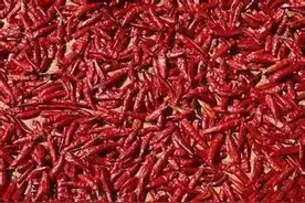 99%的家长不知道，这样使用微波炉居然会爆炸！图片