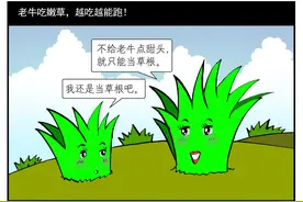 先是朋友后是妹，最后变成小宝贝儿!图片
