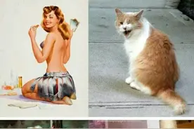 猫咪模仿海报女郎的经典动作~简直惟妙惟肖，给满分！图片