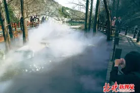 春暖花开清明节出游踏青赏花 这里美不胜收图片