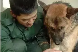 人狗情未了，看到后面结果泪奔了！图片