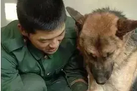 人狗情未了，看到后面结果泪奔了！图片