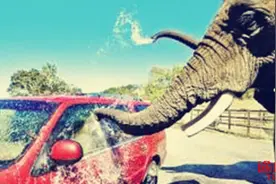 内顶棚除尘不再无计可施 万能清洁剂一招搞定！图片