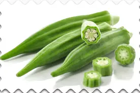 秋葵的籽能不能吃图片