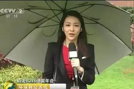 博鳌论坛：你看到的，你没有看到的...图片