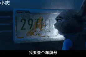 实力坑妈！熊孩子车牌上贴纸玩 亲妈被扣12分图片
