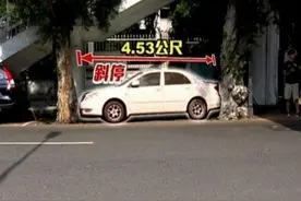 台湾超流女司机，霸气停车，在两棵树之间距离刚刚好！图片