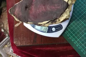 经典海黄紫油梨车珠子，全程新意无限！图片