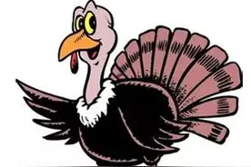 儿童小故事 凤凰和孔雀图片