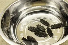 尼玛！暖水壶发海参秒杀不锈钢锅图片