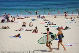 悉尼邦黛海滩，沐浴阳光的天堂海岸图片