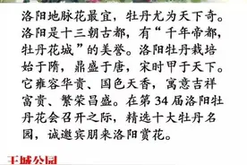 手绘版洛阳十大牡丹观赏园攻略出炉，画面美得不像话！图片