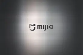 小米米家电饭煲售价999元  与格力争做国货代言人？图片