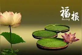 你的手机号码这个数越多越福气，大吉大利财源滚滚来图片