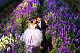 西安一般照婚纱照多少钱图片