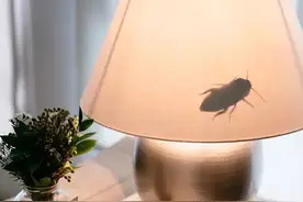 糟糕的愚人节玩笑。纯洁如你，都被什么玩笑骗过？图片