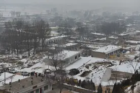 乡村民俗文化——陕西横山县横山牛王会图片