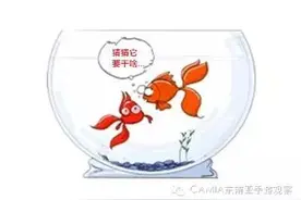 东南亚移动营销关键：如何向“金鱼”营销？图片