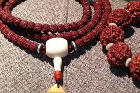 尼泊尔不产小金刚，你知道吗？图片