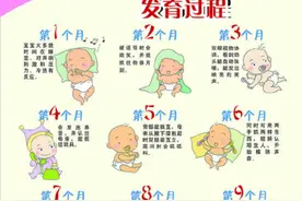 婴幼儿发育口诀表图片