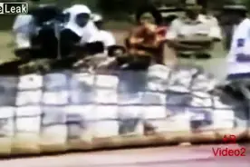 菲律宾村民捕获巨型鳄鱼 长6.17米重超1吨！图片