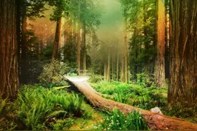 学习日语入门如何把握日语音便，提高日语口语水平技巧图片