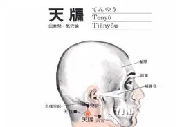 按摩天牖穴位的作用图片