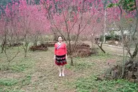 马山城西魅力广场舞，桃花姑娘