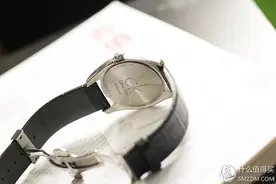 居家男人养成系列 篇八：如何让旧表焕新颜下篇 — 米兰表带更换图片